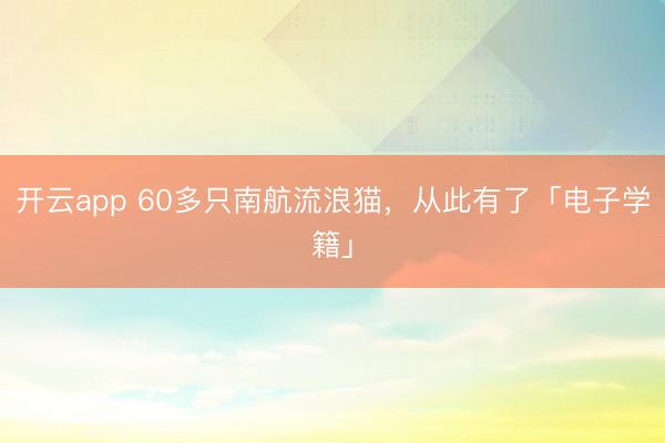 開云app 60多只南航流浪貓，從此有了「電子學籍」