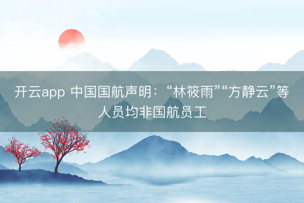 開云app 中國國航聲明：“林筱雨”“方靜云”等人員均非國航員工